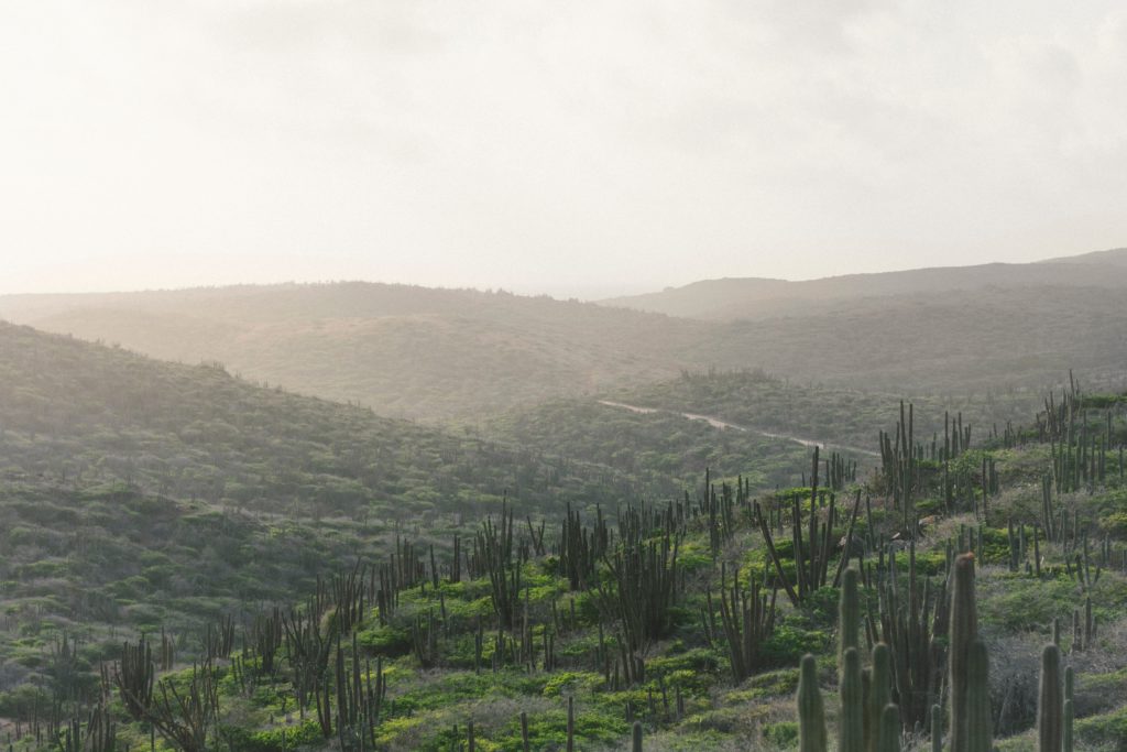 Arikok National Park